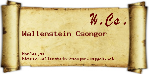 Wallenstein Csongor névjegykártya
